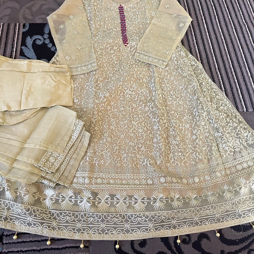 Brand new Organza embroidered Salwar Kameez in large